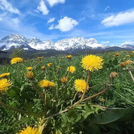 Ferienwohnung Lara Scheffau am Wilden Kaiser Zewnętrze zdjęcie