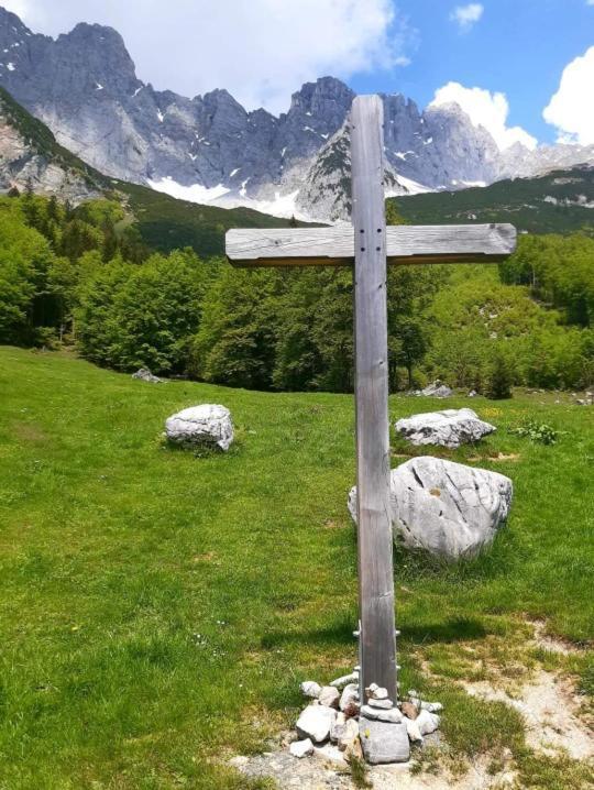 Ferienwohnung Lara Scheffau am Wilden Kaiser Zewnętrze zdjęcie