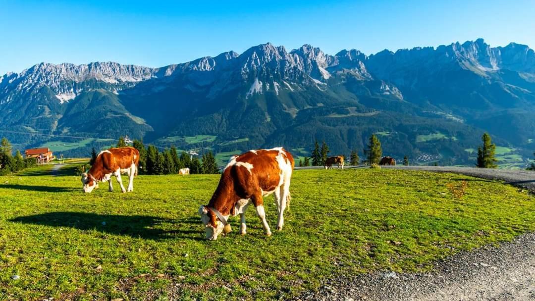 Ferienwohnung Lara Scheffau am Wilden Kaiser Zewnętrze zdjęcie