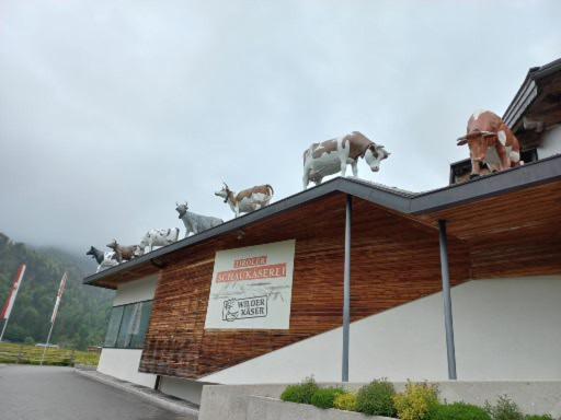 Ferienwohnung Lara Scheffau am Wilden Kaiser Zewnętrze zdjęcie